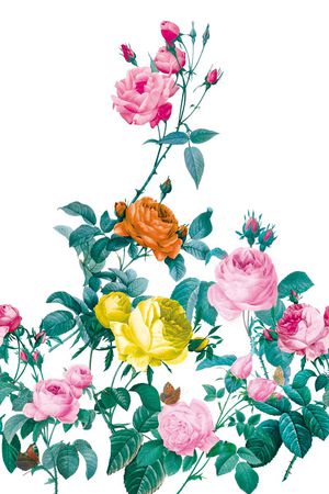 原创印花花型图片
