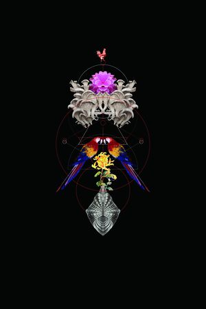 动物 公鸡 鹦鹉印花花型图片