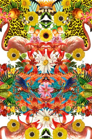 豹纹印花花型图片