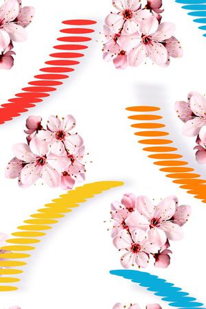 休闲印花花型图片
