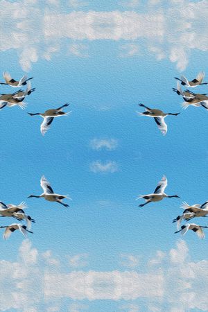 丹顶鹤 天空 油画 风景印花花型图片