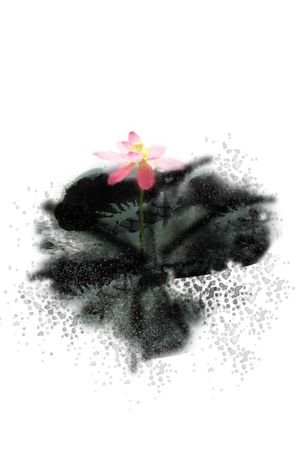 手绘印花花型图片