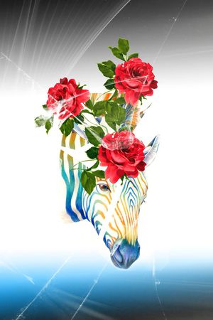 创意服装面料印花花型图片