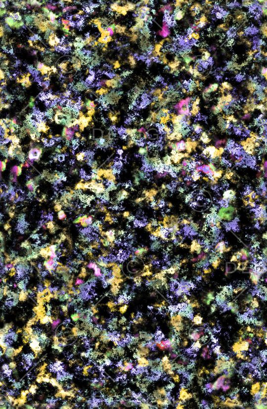 肌理印花花型图片