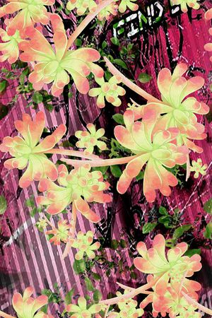 花卉风景印花花型图片