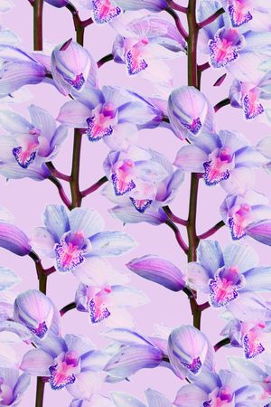 自然写意印花花型图片