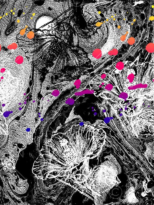 岩石印花花型图片
