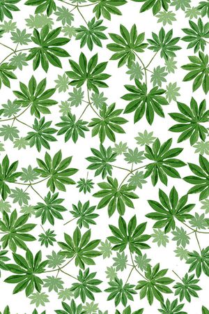 植物印花花型图片