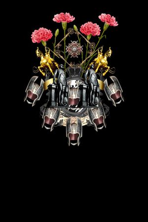 Dolce & Gabbana印花花型图片