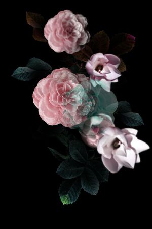 定位印花花型图片
