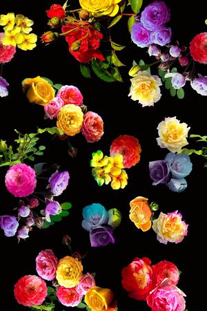design印花花型图片