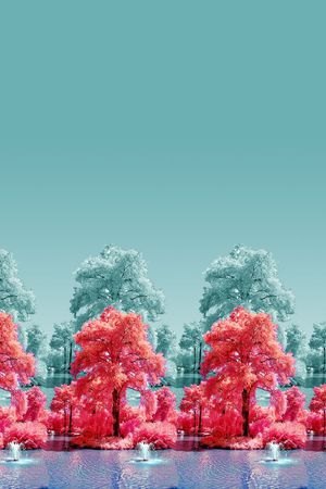 清新时尚印花花型图片