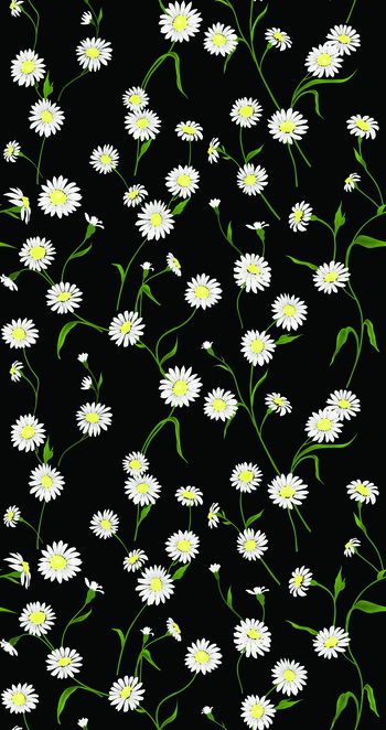 548071-欧美 时尚 大牌 D&G 花卉 印