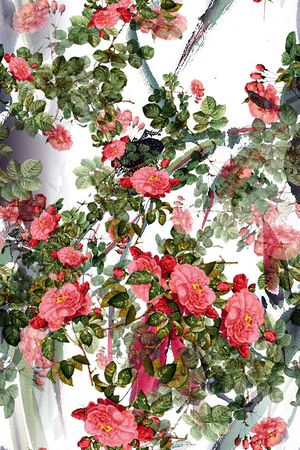 休闲风印花花型图片