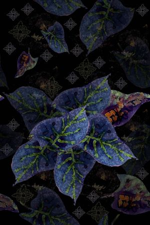 时尚印花花型图片