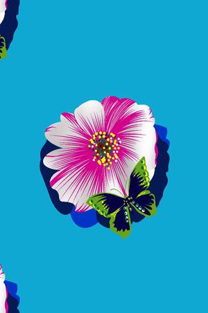 花朵印花花型图片