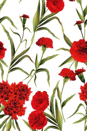 Dolce&Gabbana印花花型图片