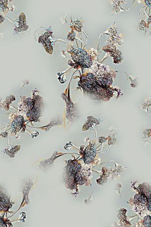数码印花花型图片
