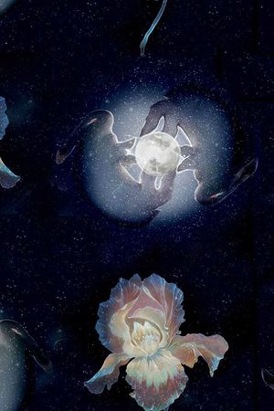 花朵印花花型图片