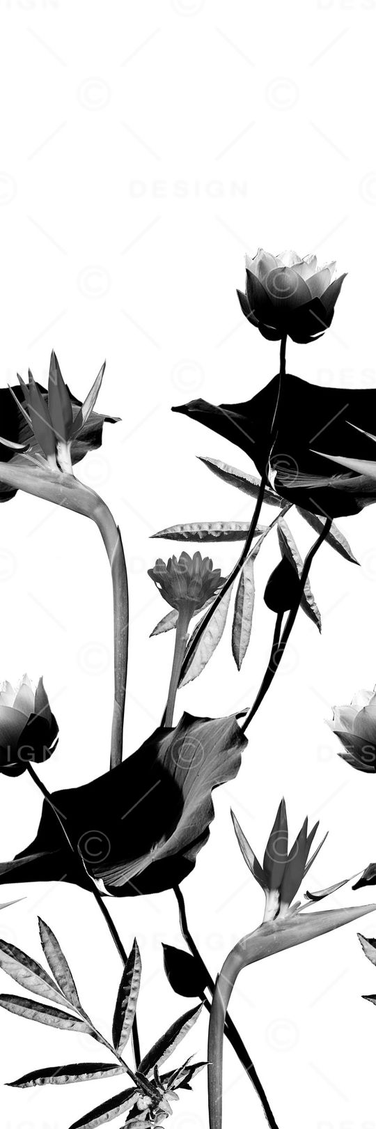 时尚印花花型图片