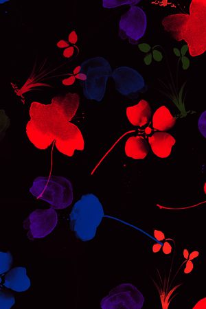 花卉印花花型图片