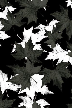 黑白印花花型图片
