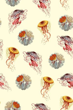 插画印花花型图片