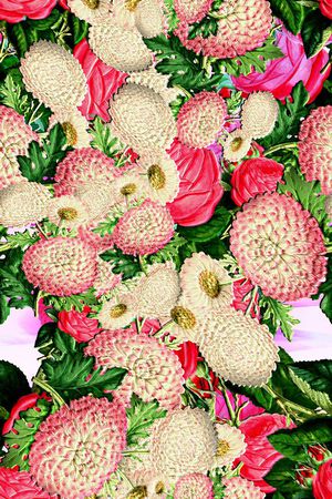 几何印花花型图片