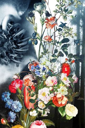 创意印花花型图片