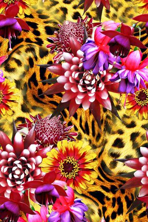 豹纹印花花型图片