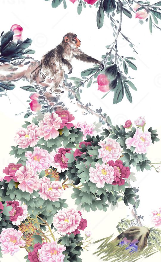 2016女装印花花型图片