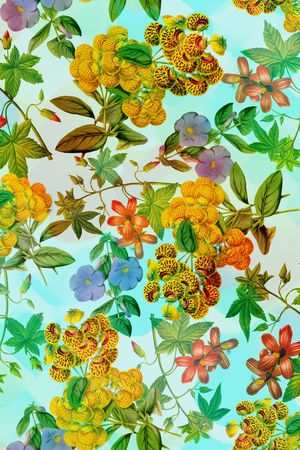 服装印花花型图片