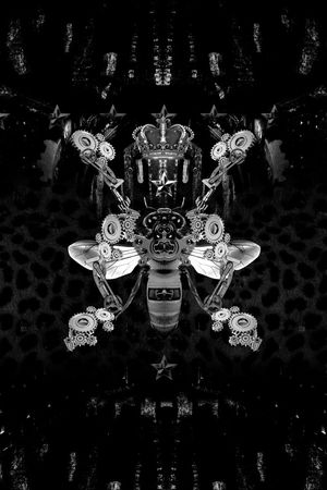 Dolce&Gabbana印花花型图片