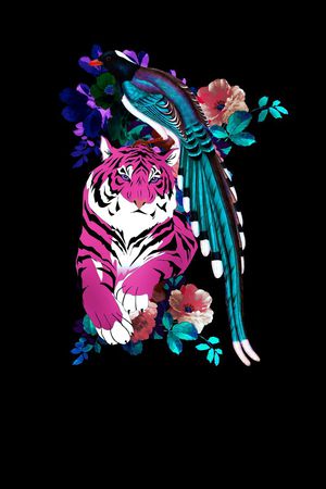 男装印花花型图片