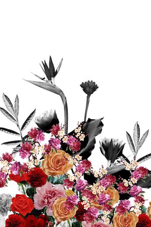 时尚印花花型图片