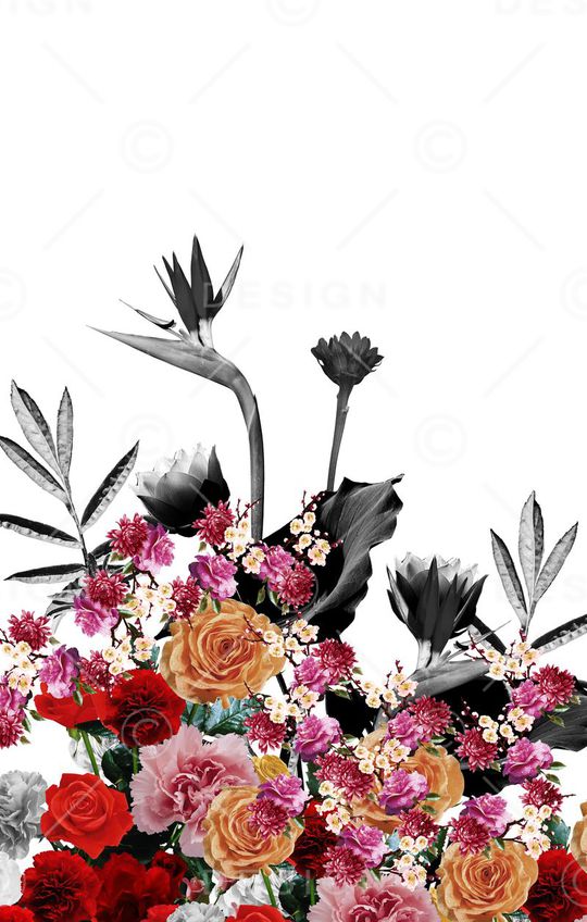 时尚印花花型图片