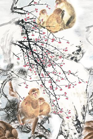 女装印花花型图片