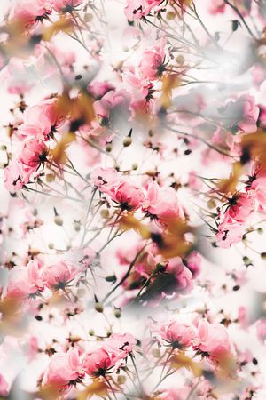 春夏款男女装花型印花花型图片