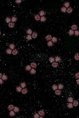 满版 印花 服装印花花型图片