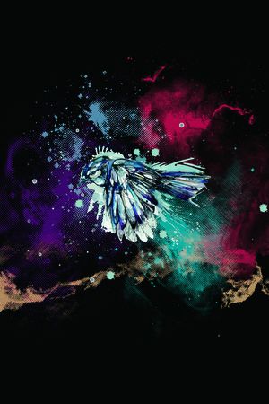 欧美印花花型图片