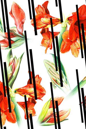 Dolce& gabanna印花花型图片