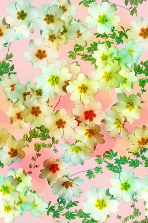 潮流时尚印花花型图片