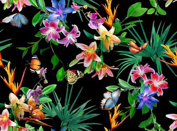572038-时尚植物花卉蝴蝶花型