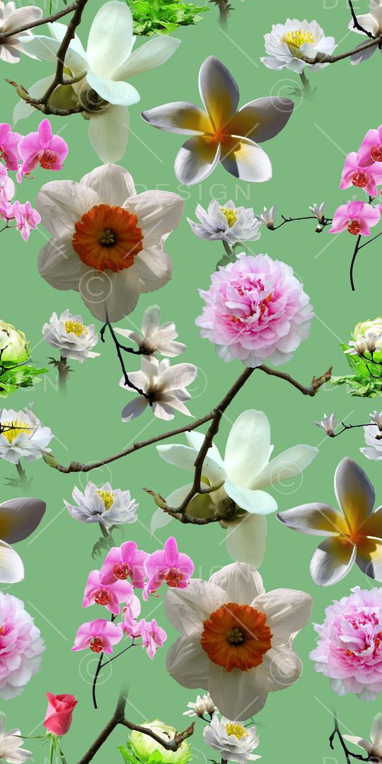 时尚印花花型图片