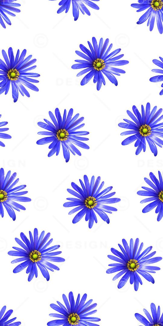 真花印花花型图片