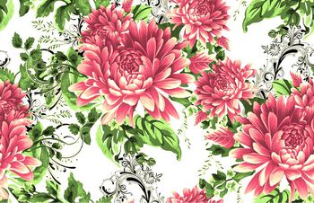 573494-富贵牡丹花 传统中国花卉 