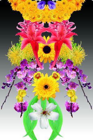 太阳花印花花型图片