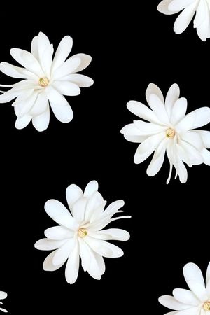 数码印花印花花型图片