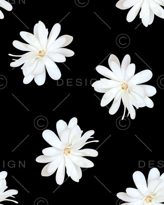 数码印花印花花型图片