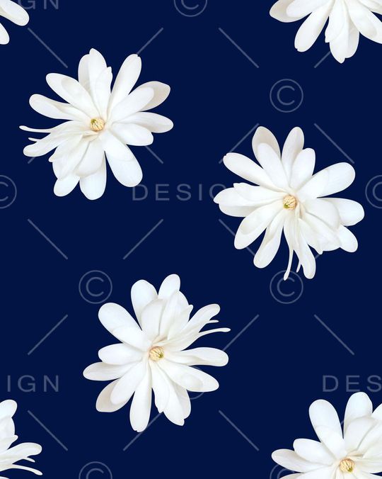 数码印花印花花型图片